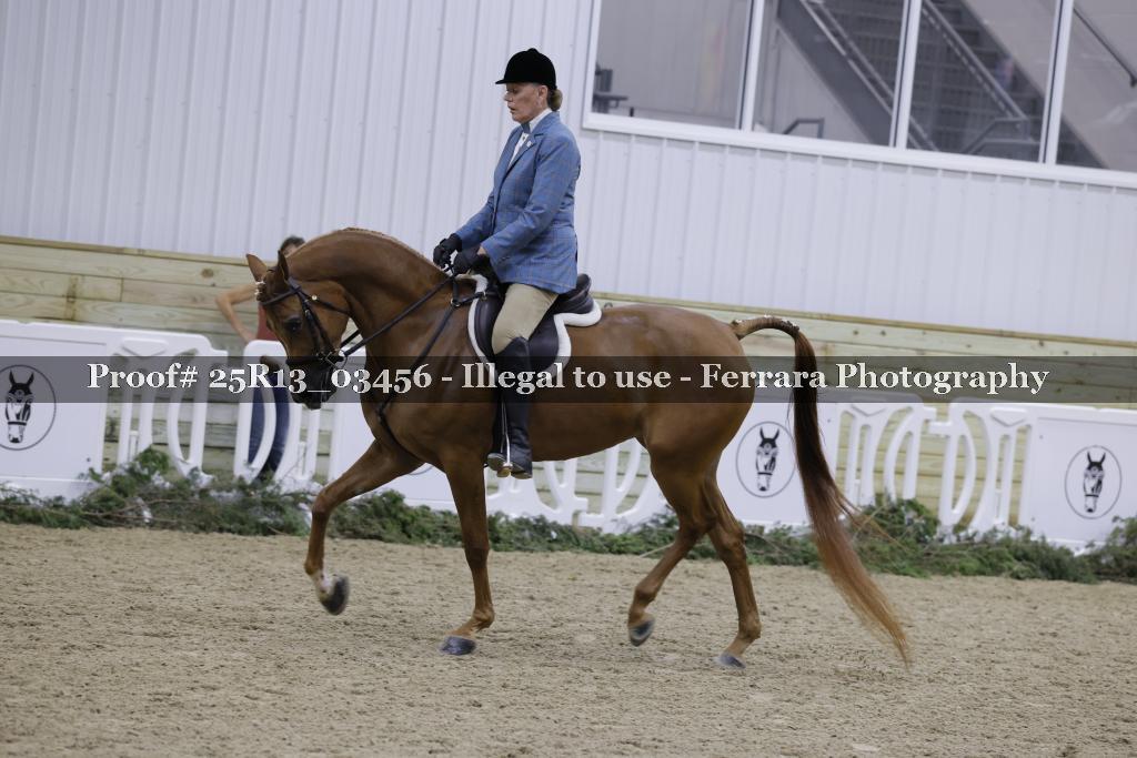 Proof 25R13_03456