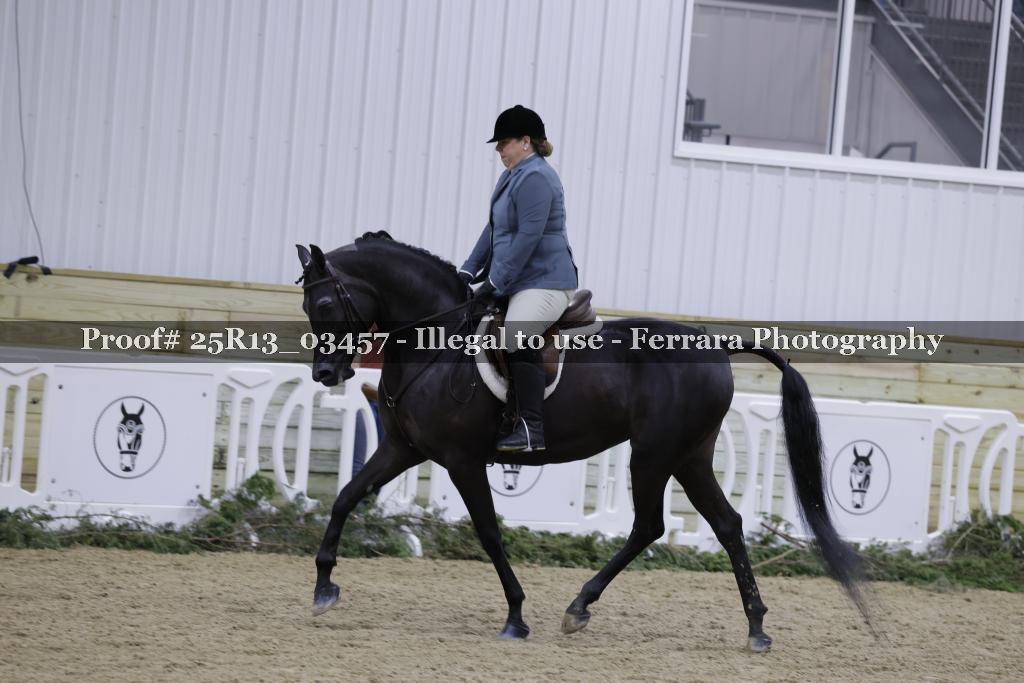 Proof 25R13_03457
