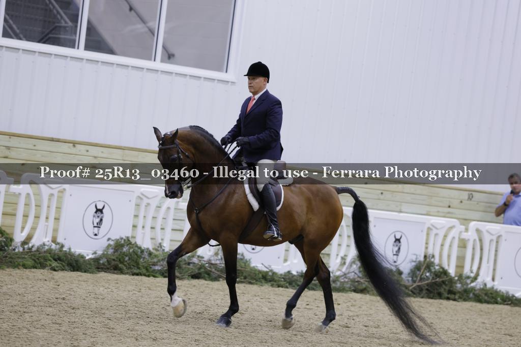 Proof 25R13_03460