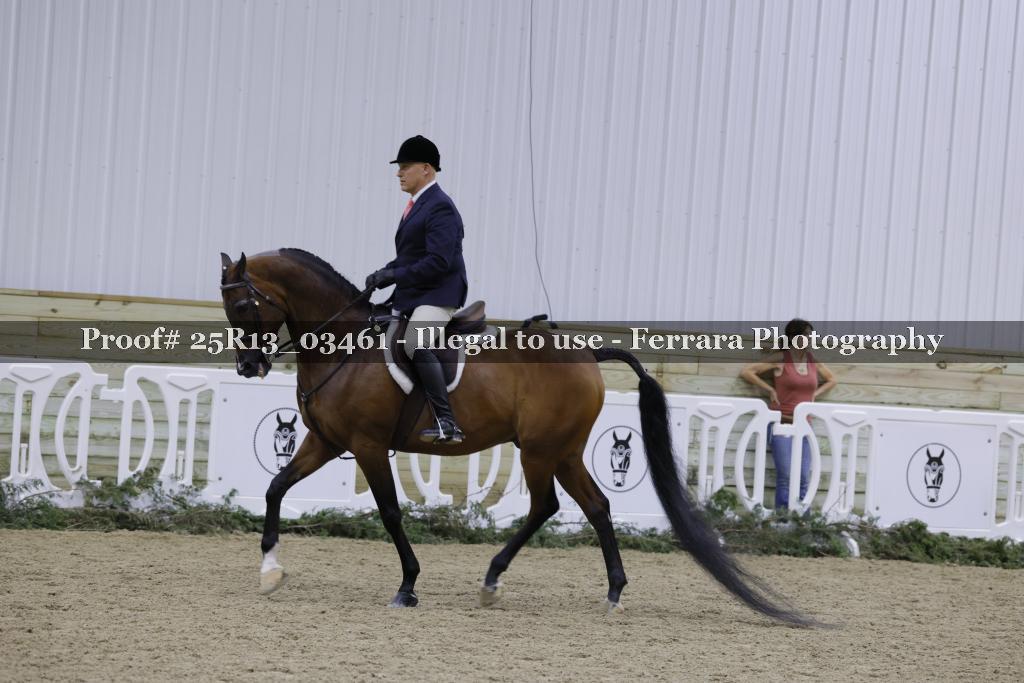 Proof 25R13_03461