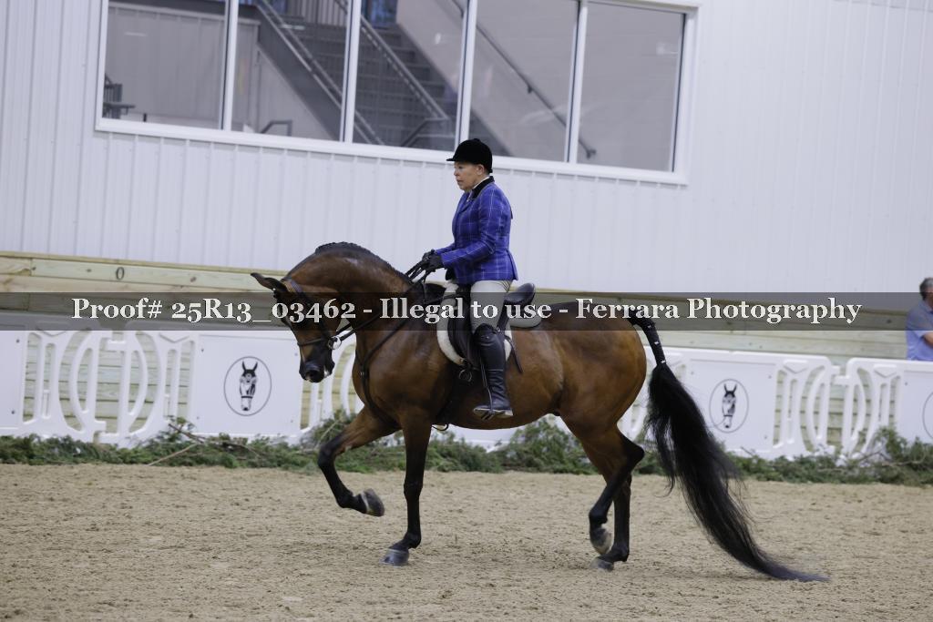 Proof 25R13_03462