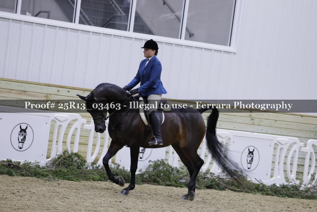 Proof 25R13_03463