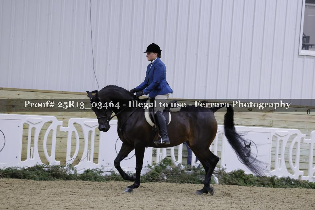 Proof 25R13_03464
