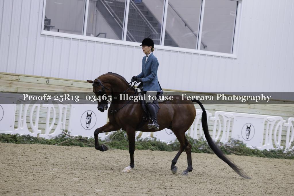 Proof 25R13_03465