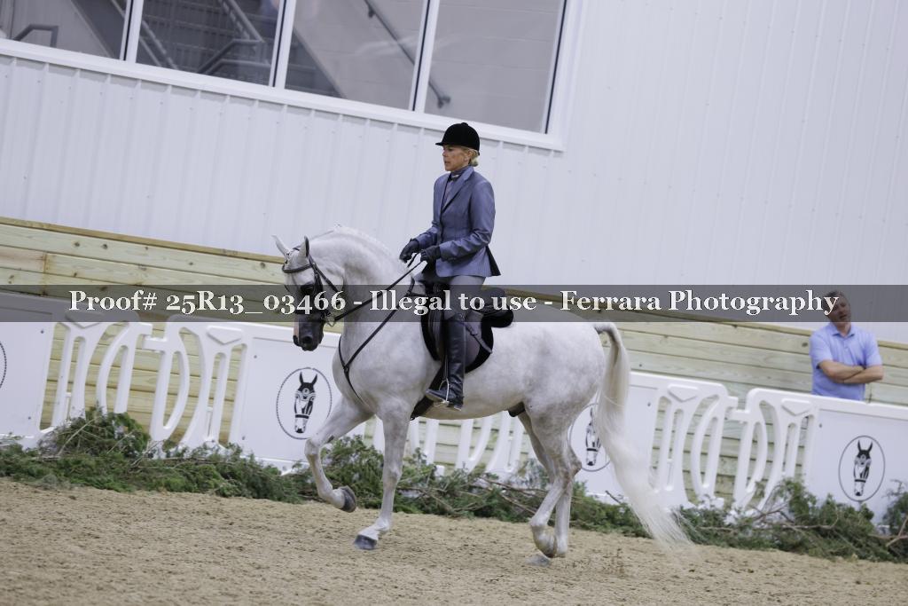 Proof 25R13_03466