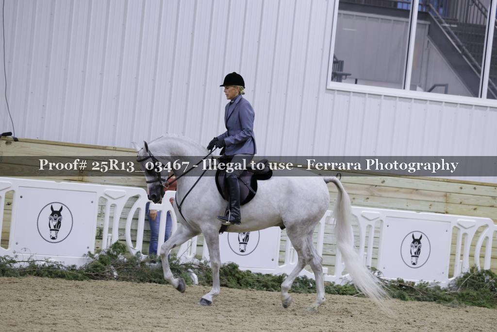 Proof 25R13_03467