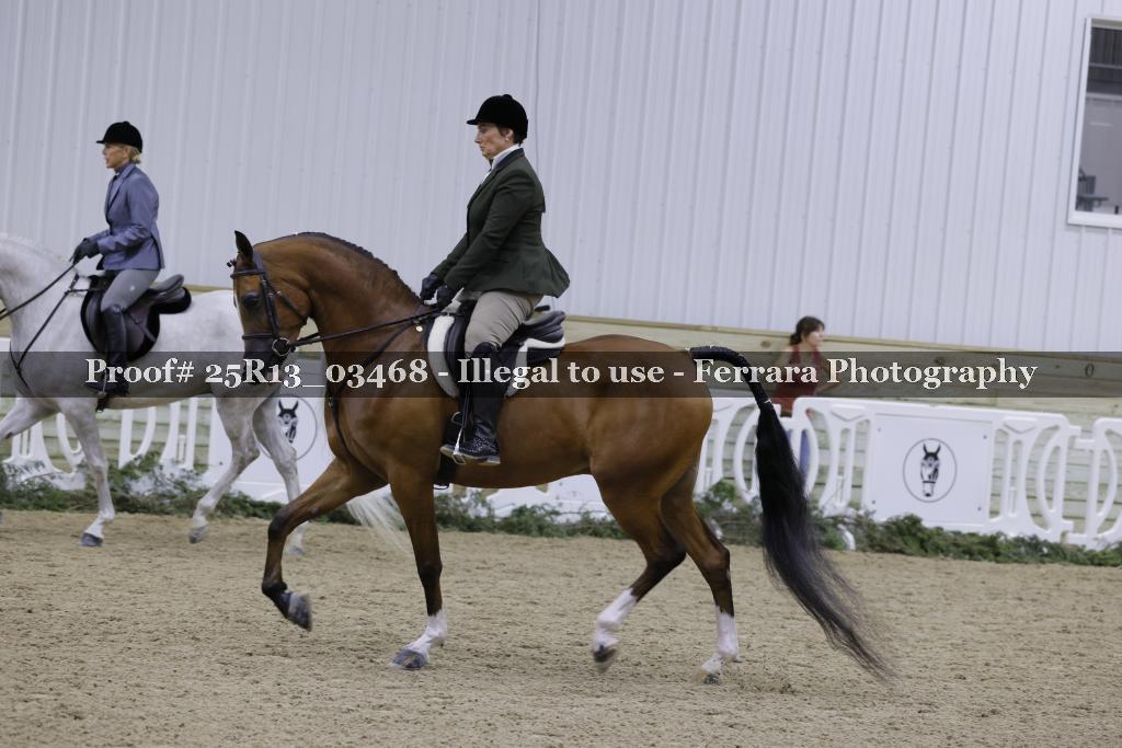 Proof 25R13_03468
