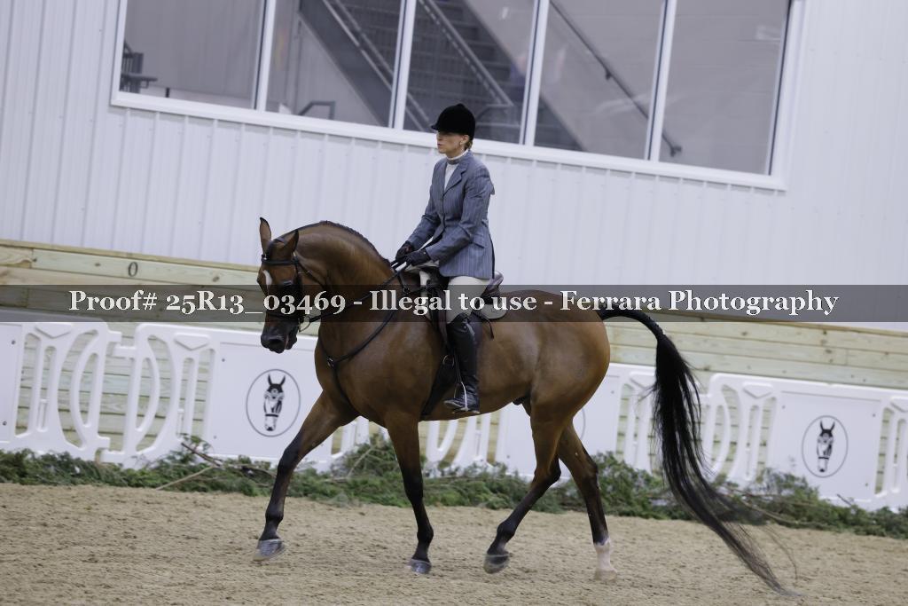Proof 25R13_03469