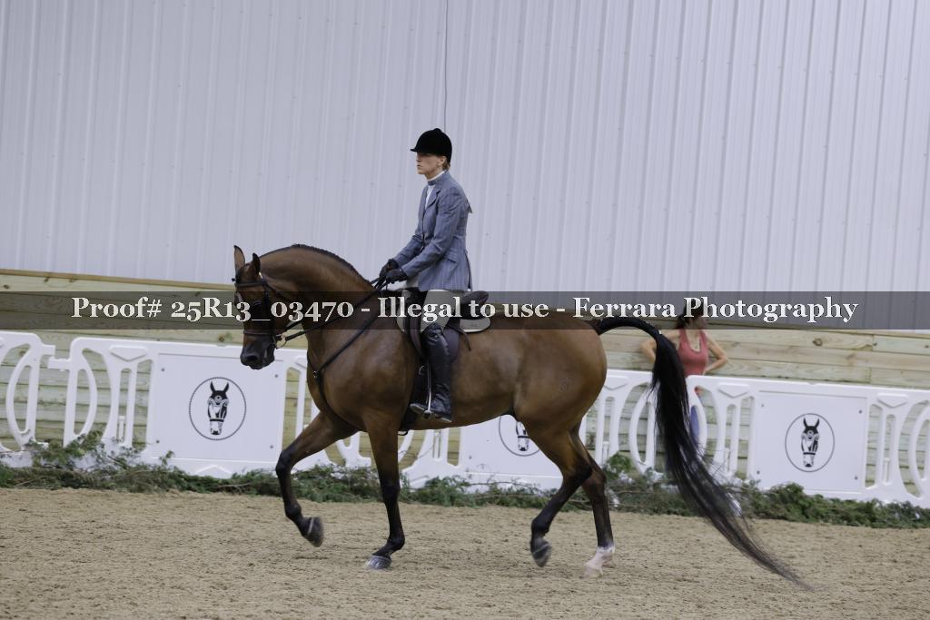 Proof 25R13_03470