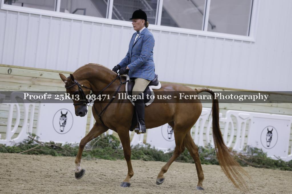 Proof 25R13_03471