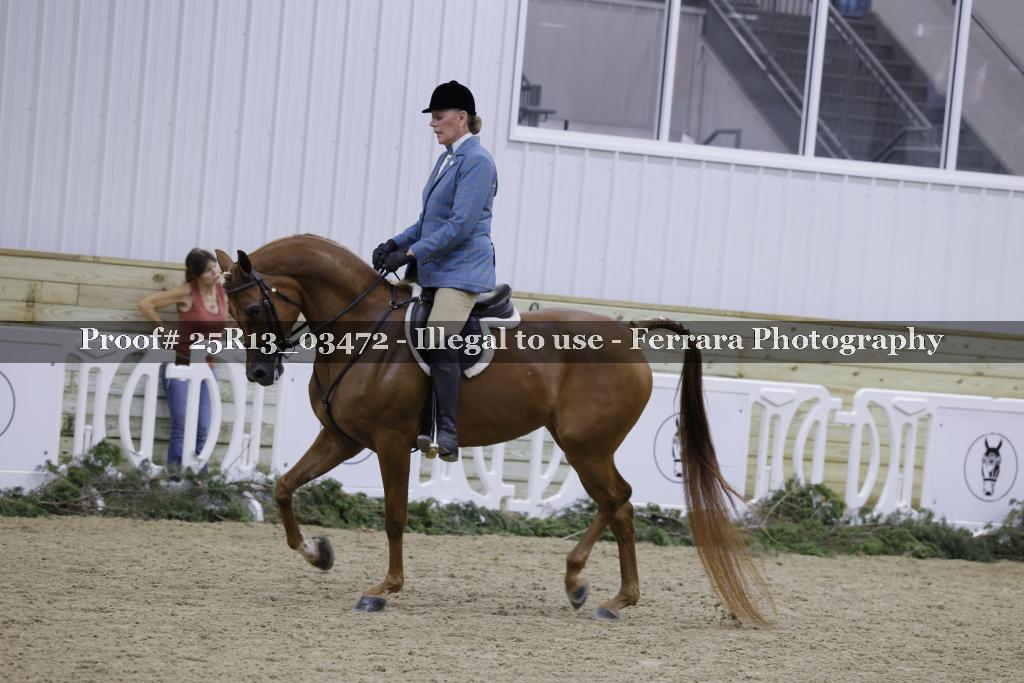 Proof 25R13_03472