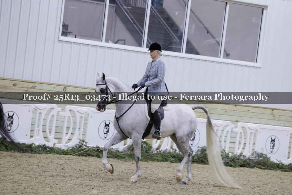 Proof 25R13_03473