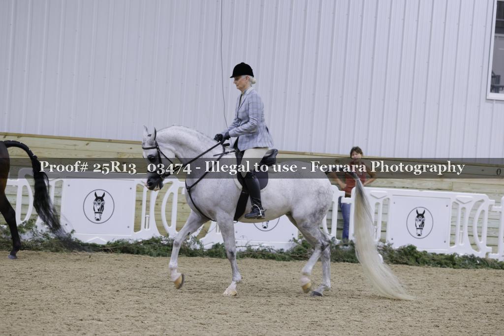 Proof 25R13_03474