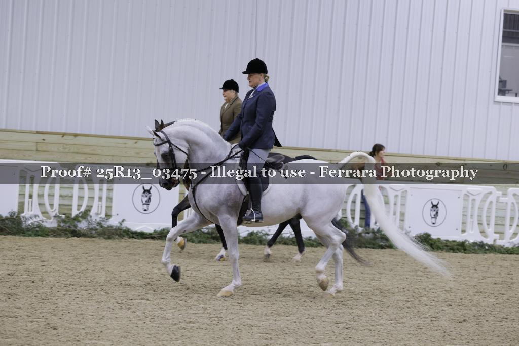 Proof 25R13_03475