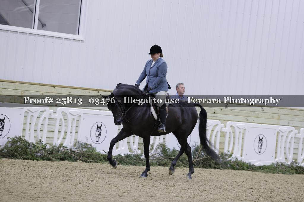 Proof 25R13_03476