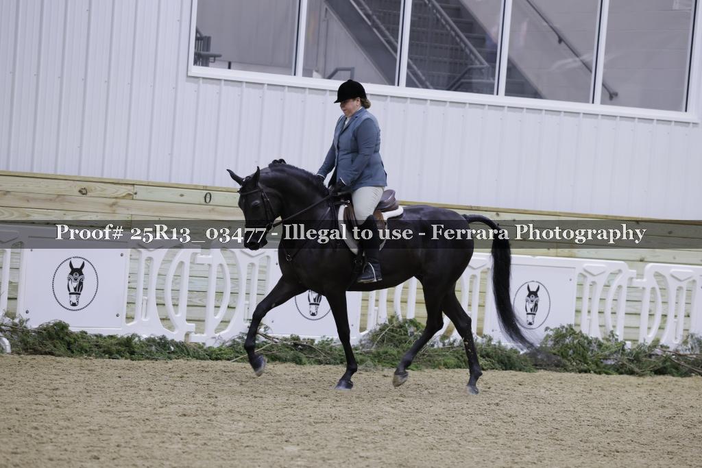 Proof 25R13_03477