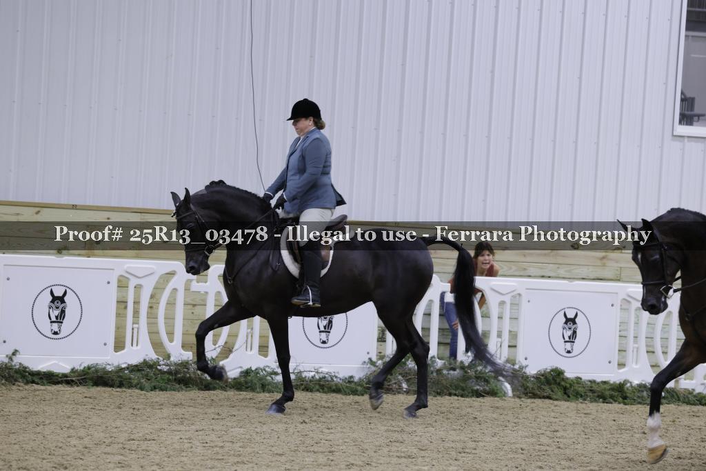 Proof 25R13_03478