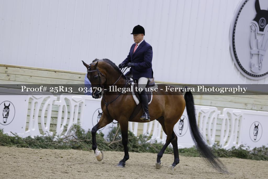 Proof 25R13_03479