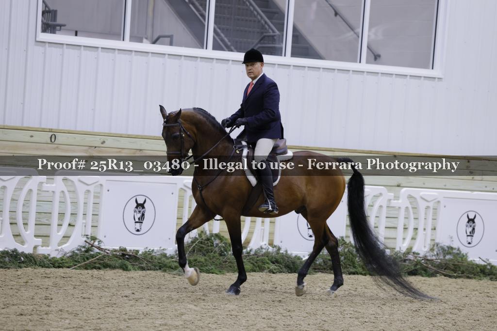 Proof 25R13_03480