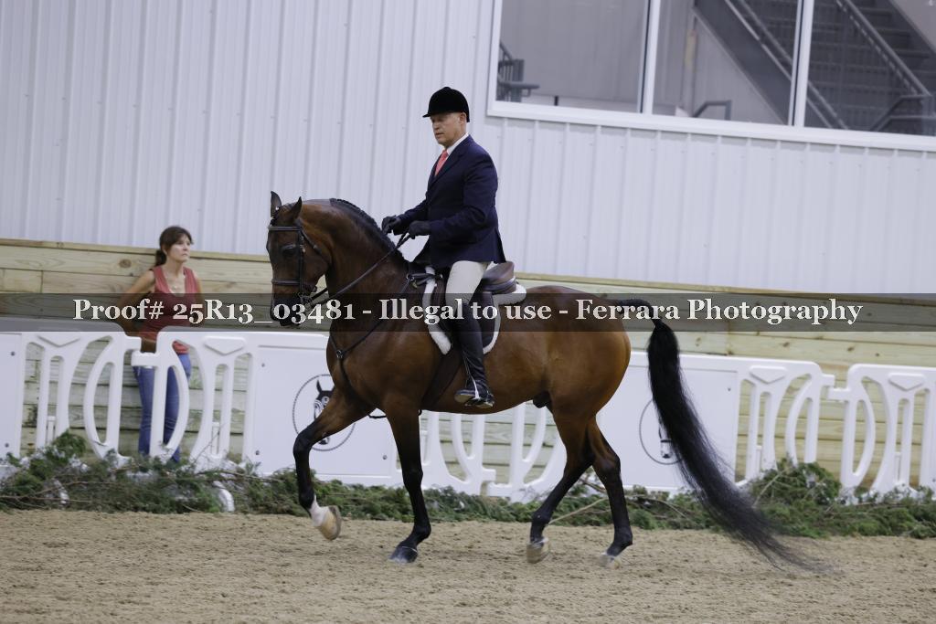 Proof 25R13_03481