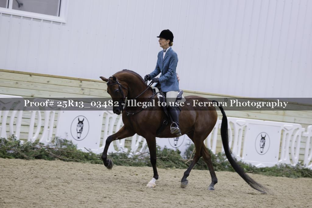 Proof 25R13_03482