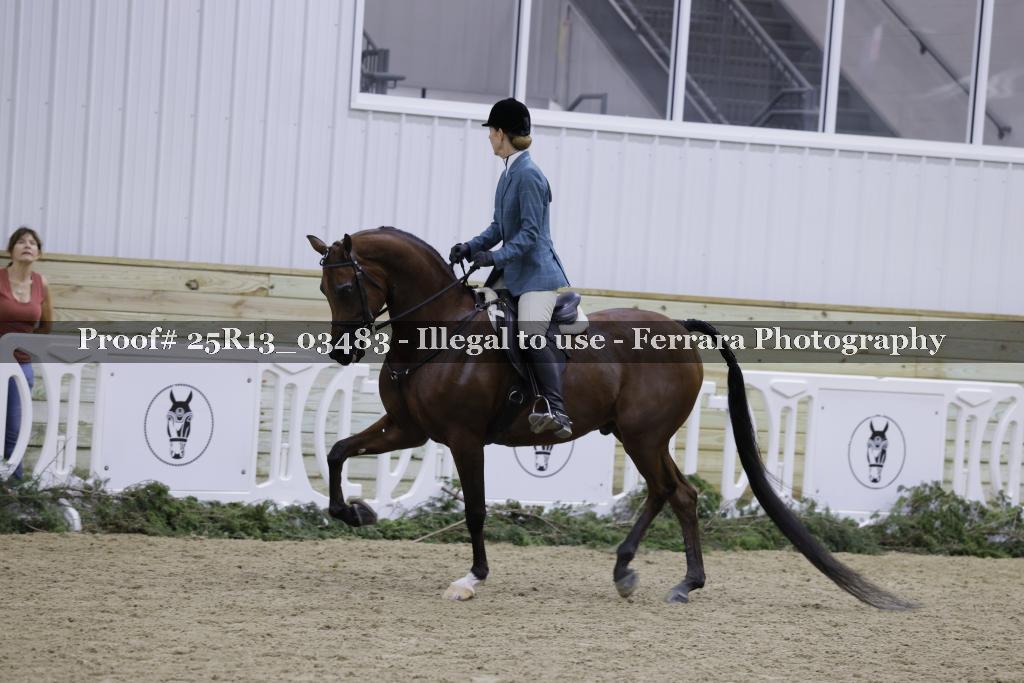 Proof 25R13_03483