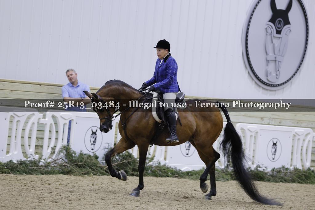 Proof 25R13_03484