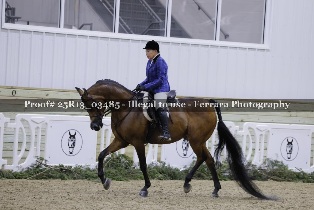 Proof 25R13_03485