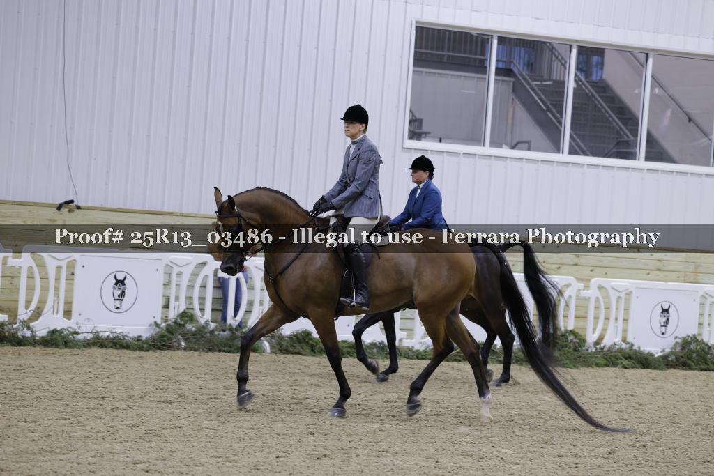 Proof 25R13_03486