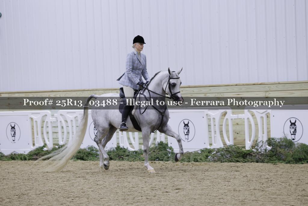 Proof 25R13_03488