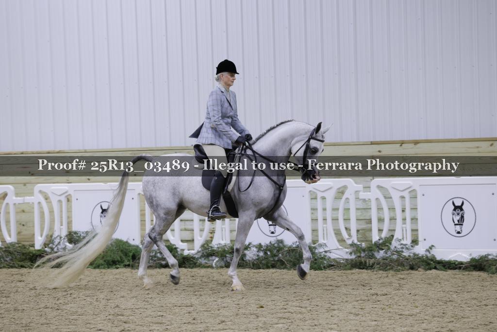 Proof 25R13_03489