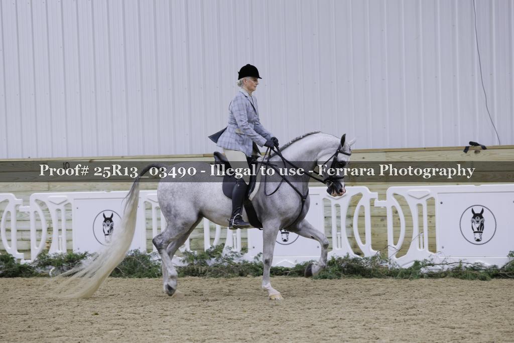 Proof 25R13_03490