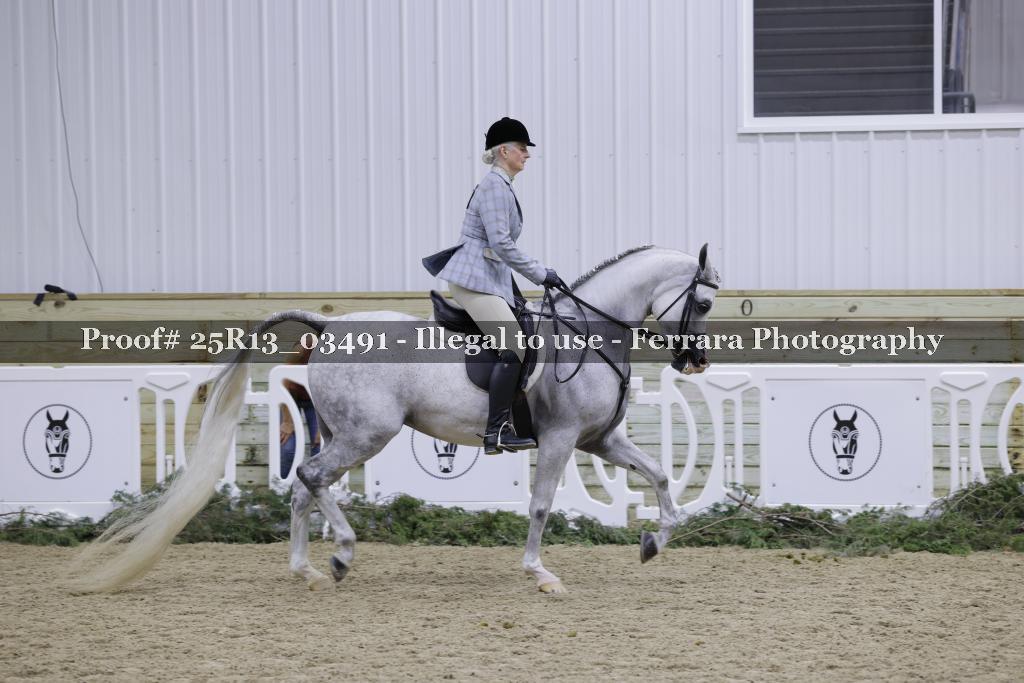 Proof 25R13_03491