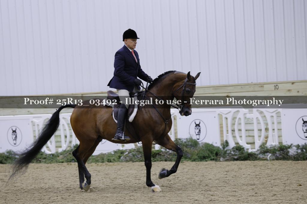 Proof 25R13_03492