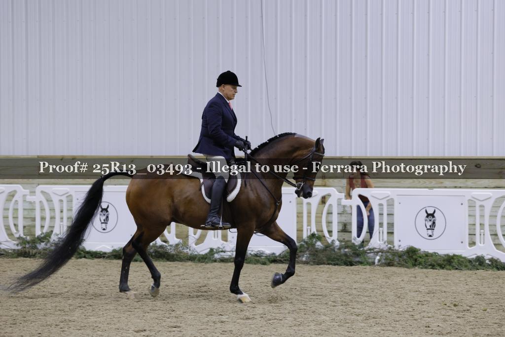 Proof 25R13_03493