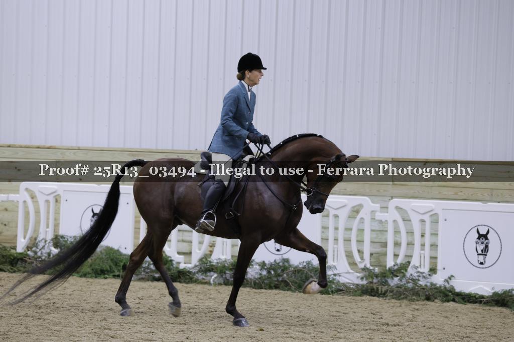 Proof 25R13_03494