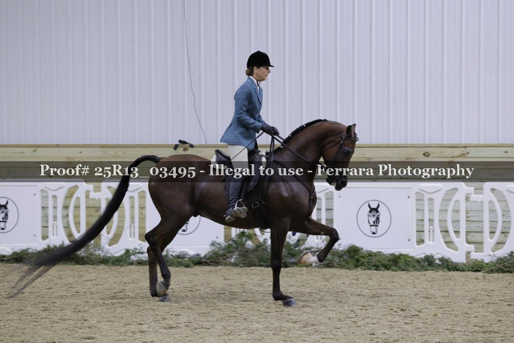 Proof 25R13_03495