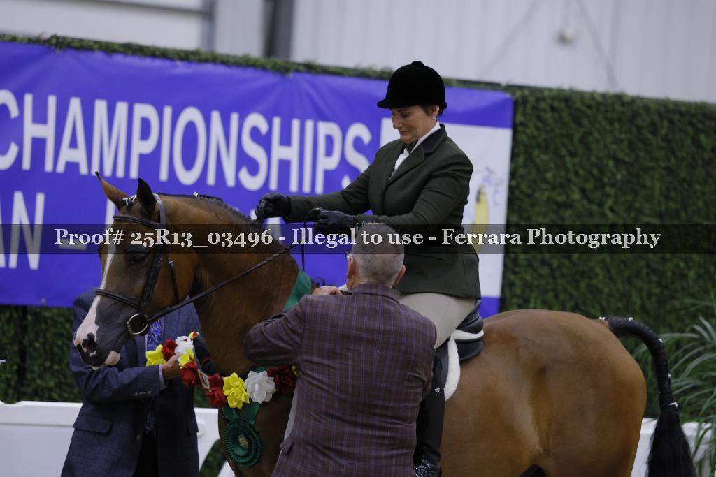Proof 25R13_03496
