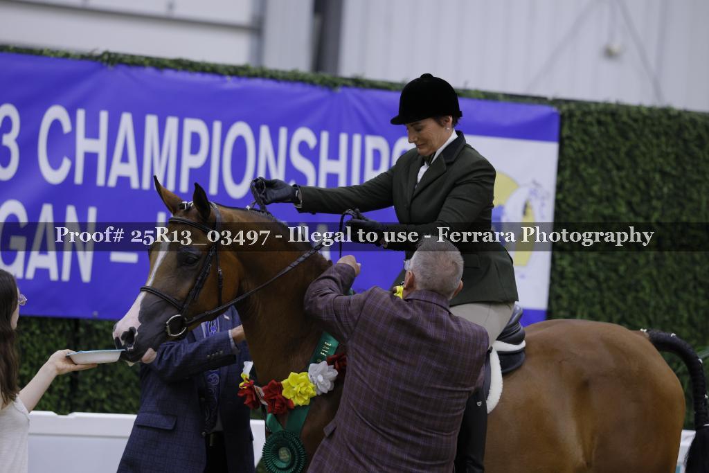 Proof 25R13_03497