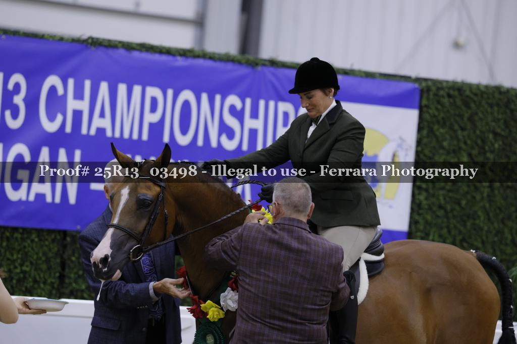 Proof 25R13_03498