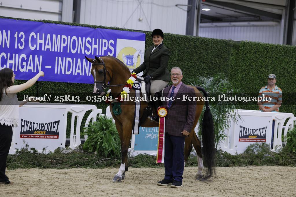 Proof 25R13_03502