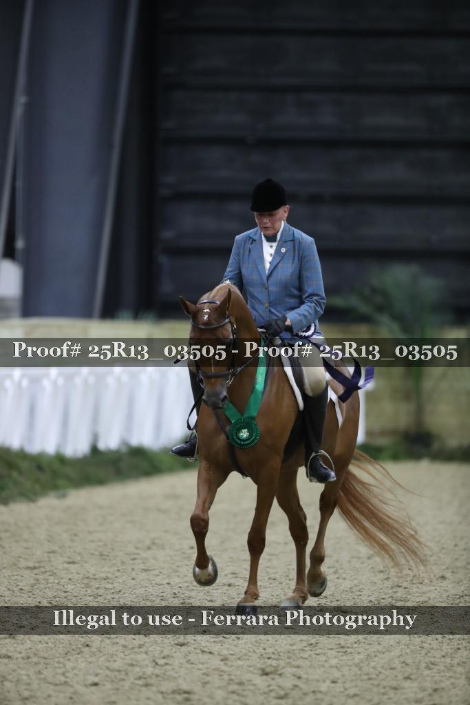 Proof 25R13_03505