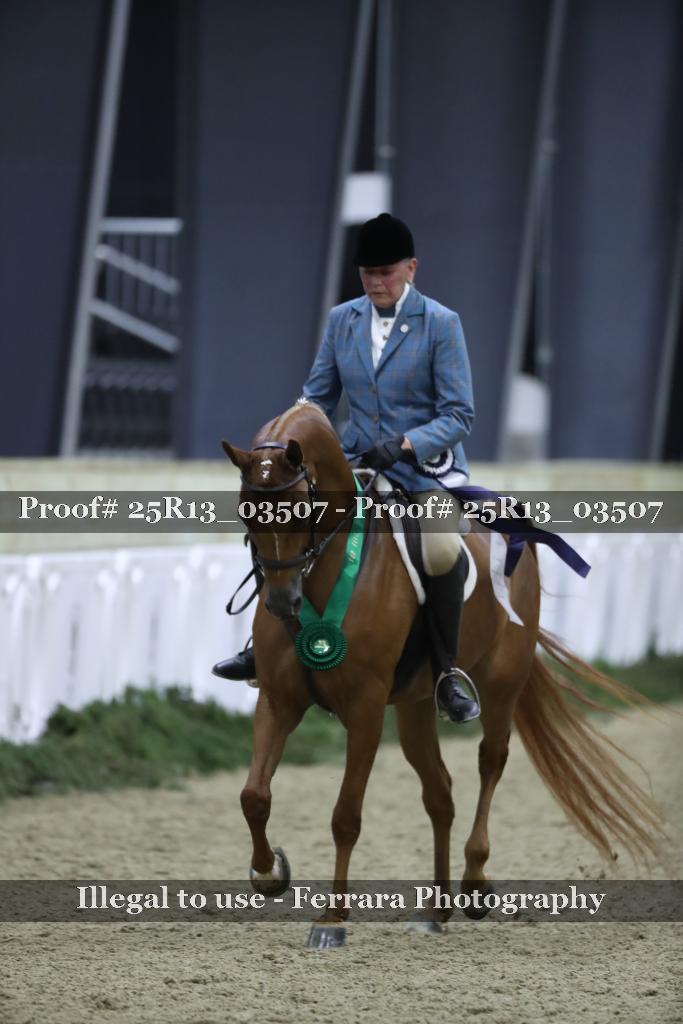 Proof 25R13_03507