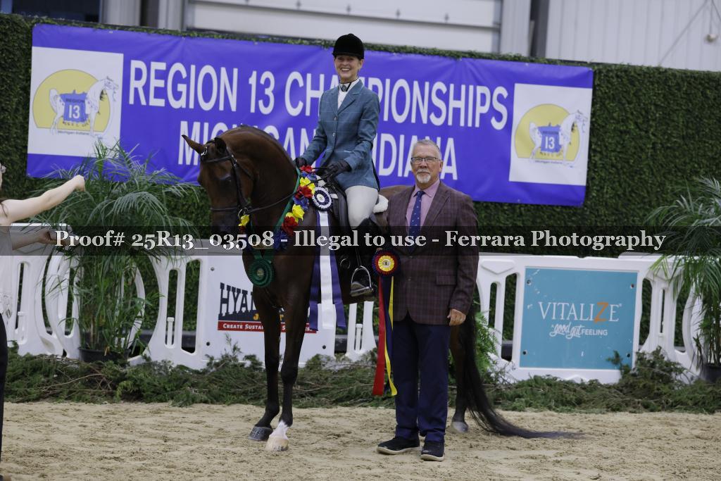 Proof 25R13_03508