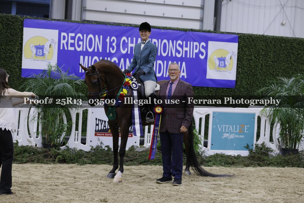 Proof 25R13_03509