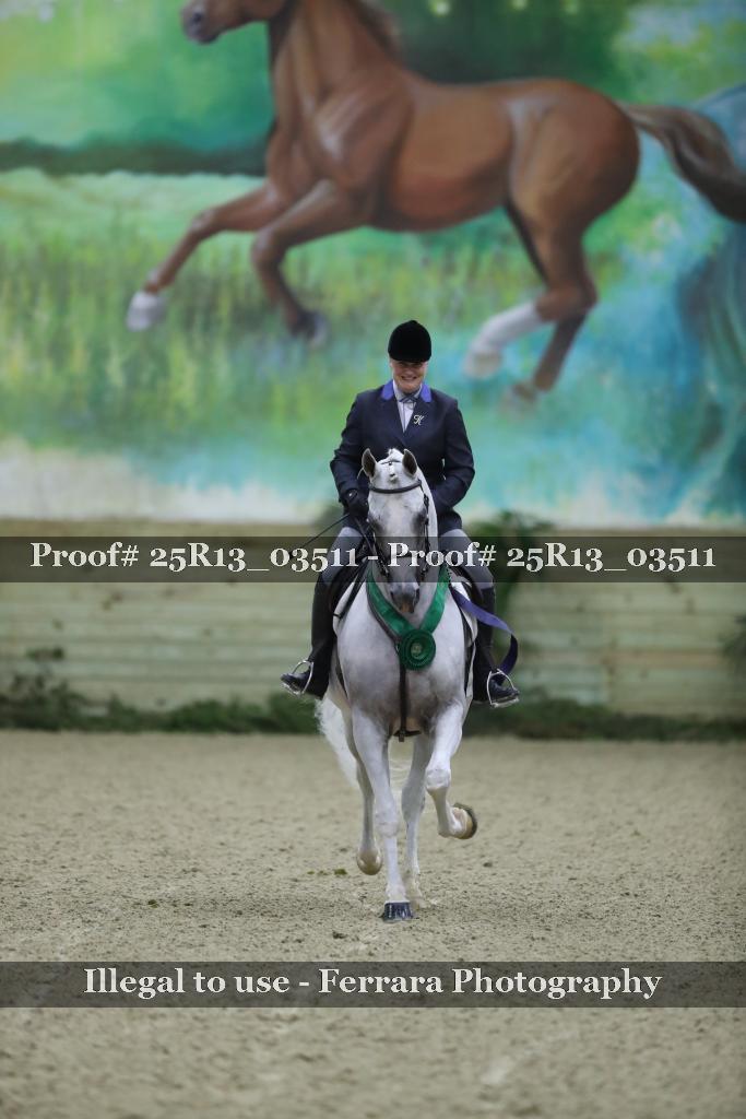 Proof 25R13_03511