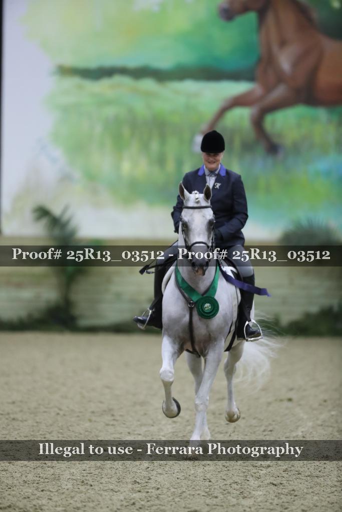 Proof 25R13_03512