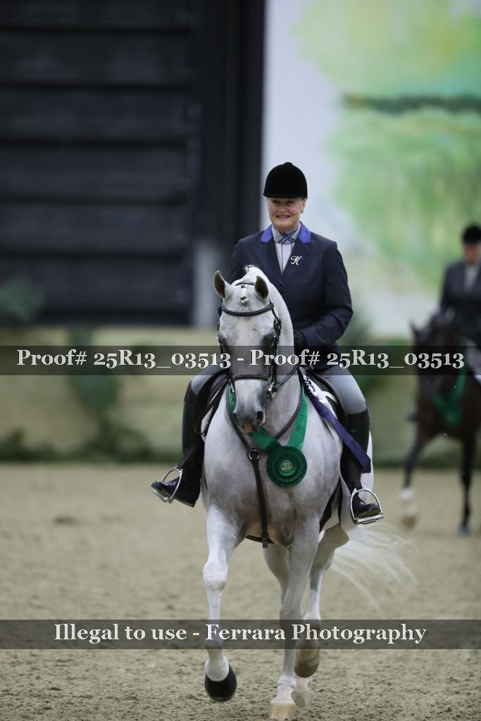 Proof 25R13_03513