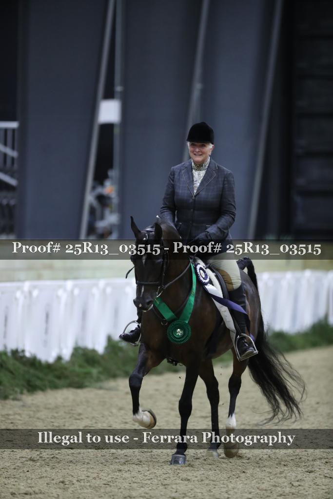 Proof 25R13_03515
