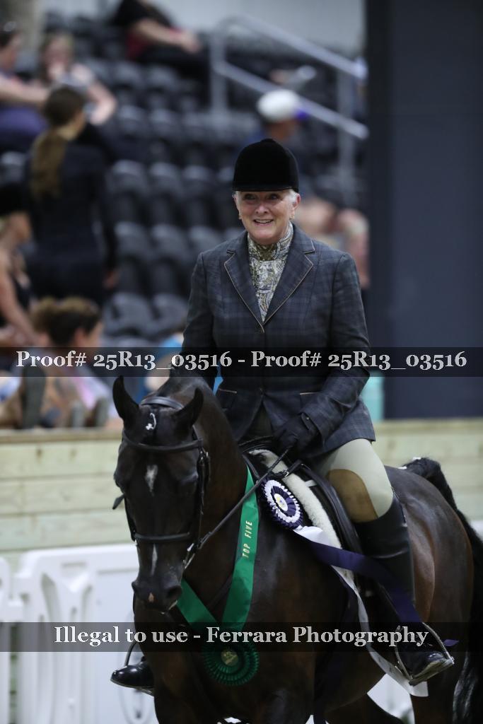 Proof 25R13_03516